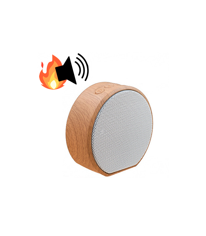 Boitier De Crepitement Pour Cheminee Electrique Enceinte Cheminarte Decome Store