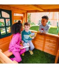 Cabane de jardin avec tobogggan balançoires et mur d'escalade Cloverdale